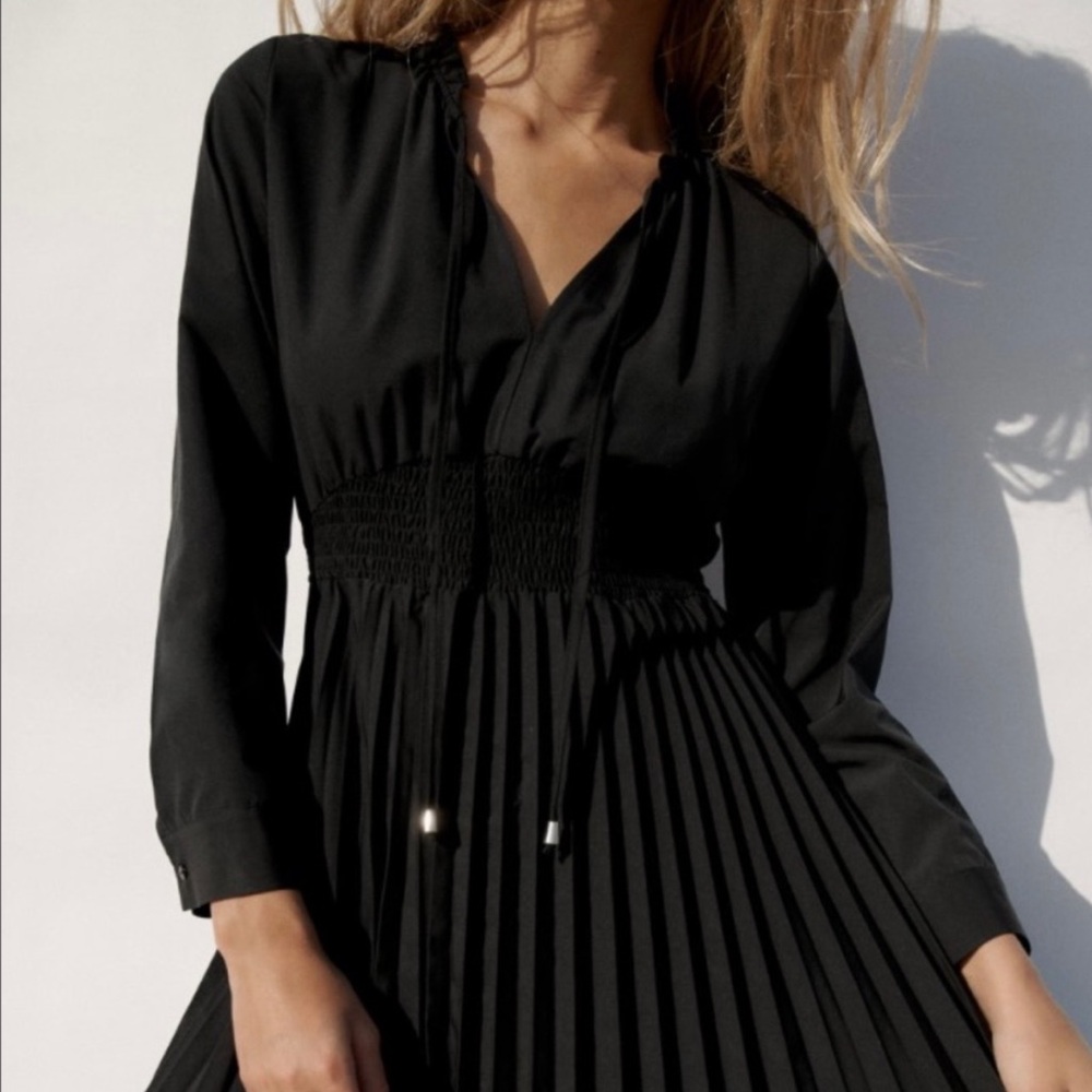 NWOT Zara Poplin Pleated Dress